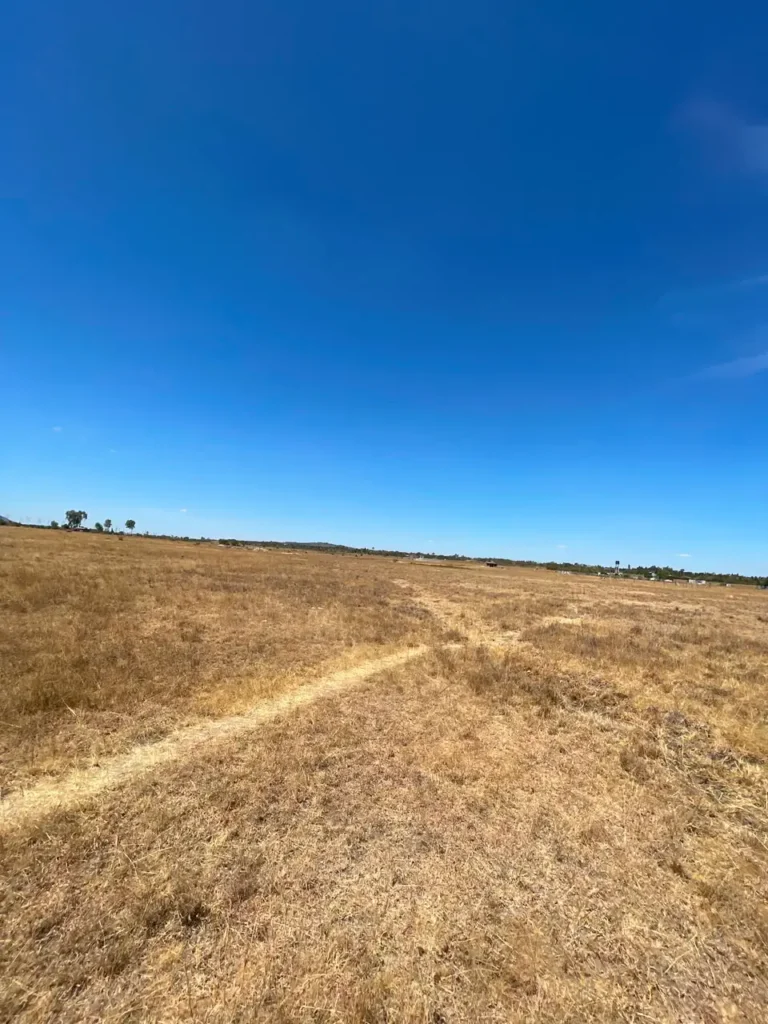 Malaa Land For Sale_ 50 × 100 Plot Off Kangundo Road _ Prime Investment Opportunity (1)