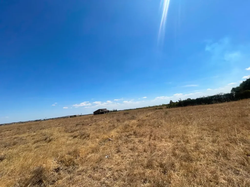 Malaa Land For Sale_ 50 × 100 Plot Off Kangundo Road _ Prime Investment Opportunity