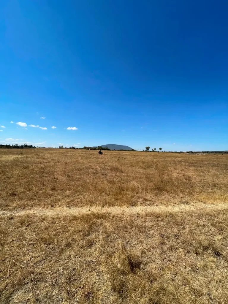 Malaa Land For Sale_ 50 × 100 Plot Off Kangundo Road _ Prime Investment Opportunity (2)