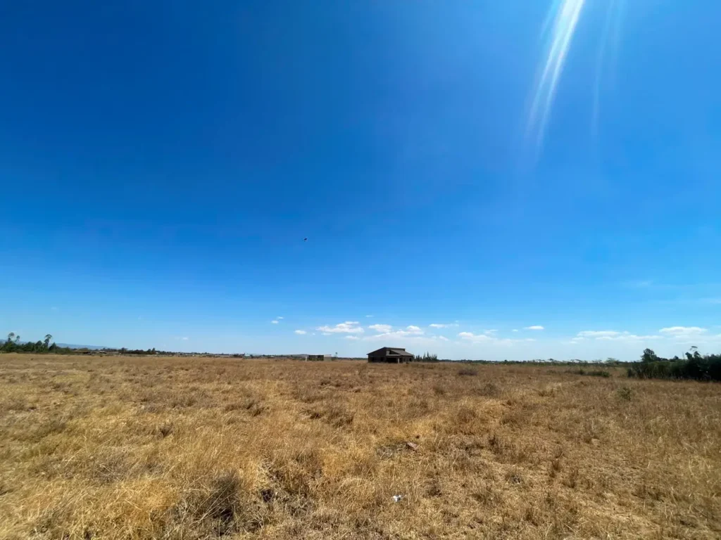 Malaa Land For Sale_ 50 × 100 Plot Off Kangundo Road _ Prime Investment Opportunity (3)