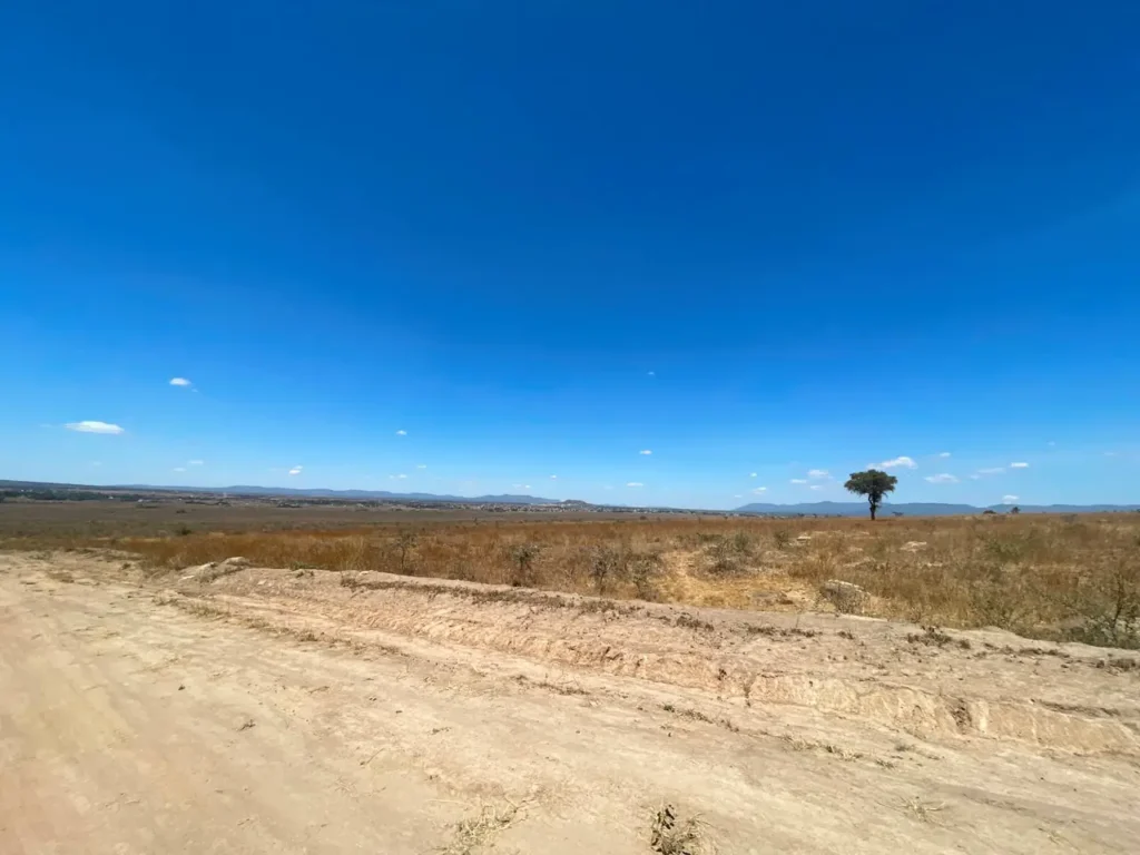 Malaa Land For Sale_ 50 × 100 Plot Off Kangundo Road _ Prime Investment Opportunity (4)