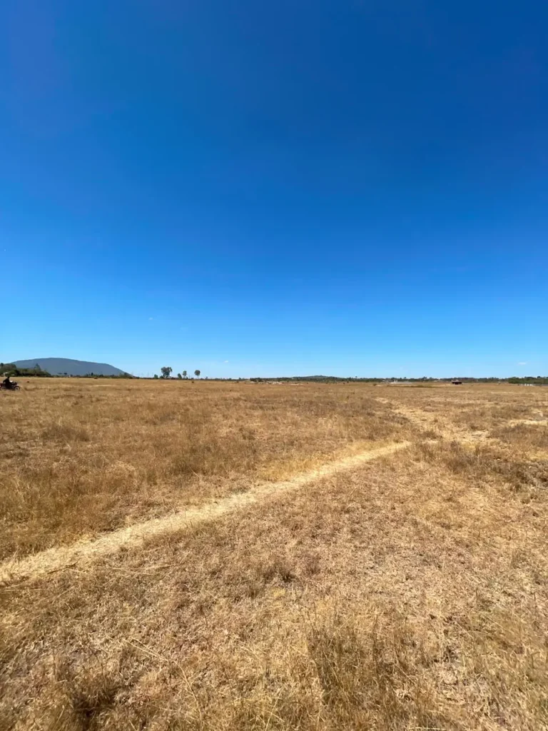 Malaa Land For Sale_ 50 × 100 Plot Off Kangundo Road _ Prime Investment Opportunity (5)
