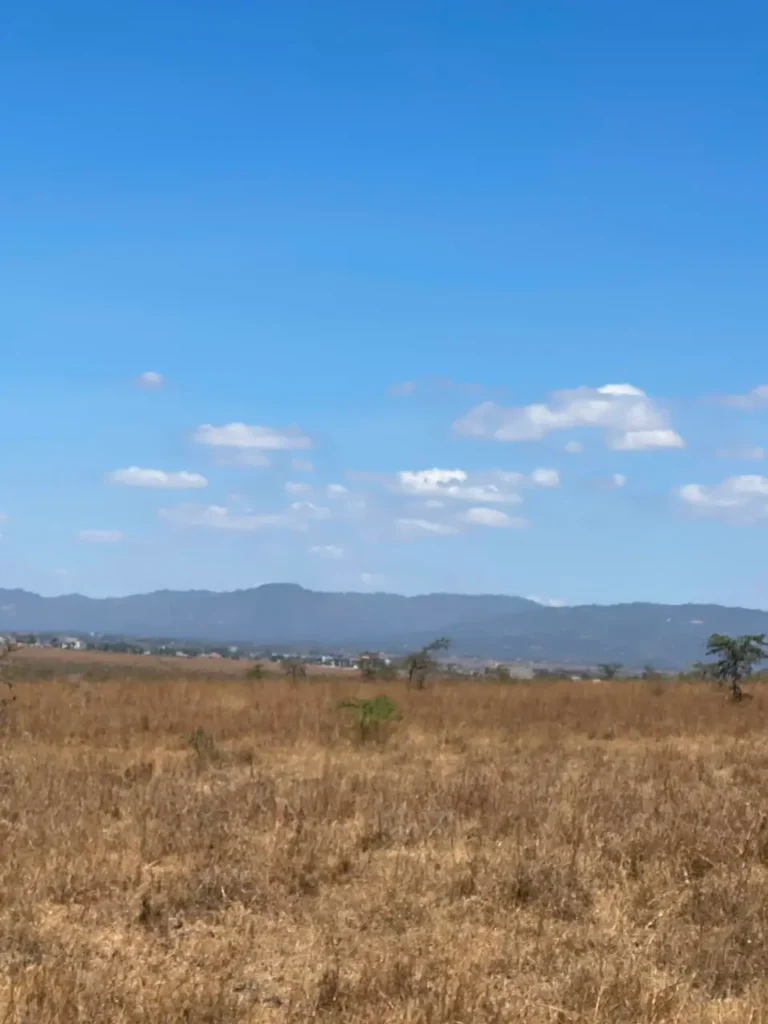 Malaa Land For Sale_ 50 × 100 Plot Off Kangundo Road _ Prime Investment Opportunity (6)