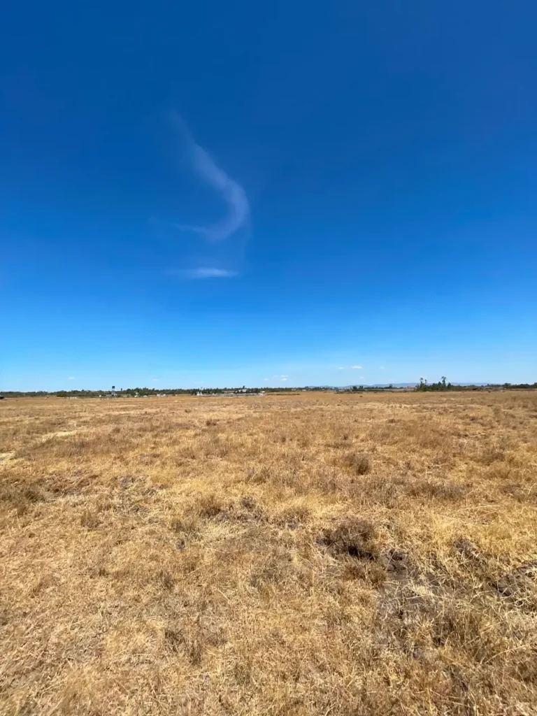 Malaa Land For Sale_ 50 × 100 Plot Off Kangundo Road _ Prime Investment Opportunity (7)
