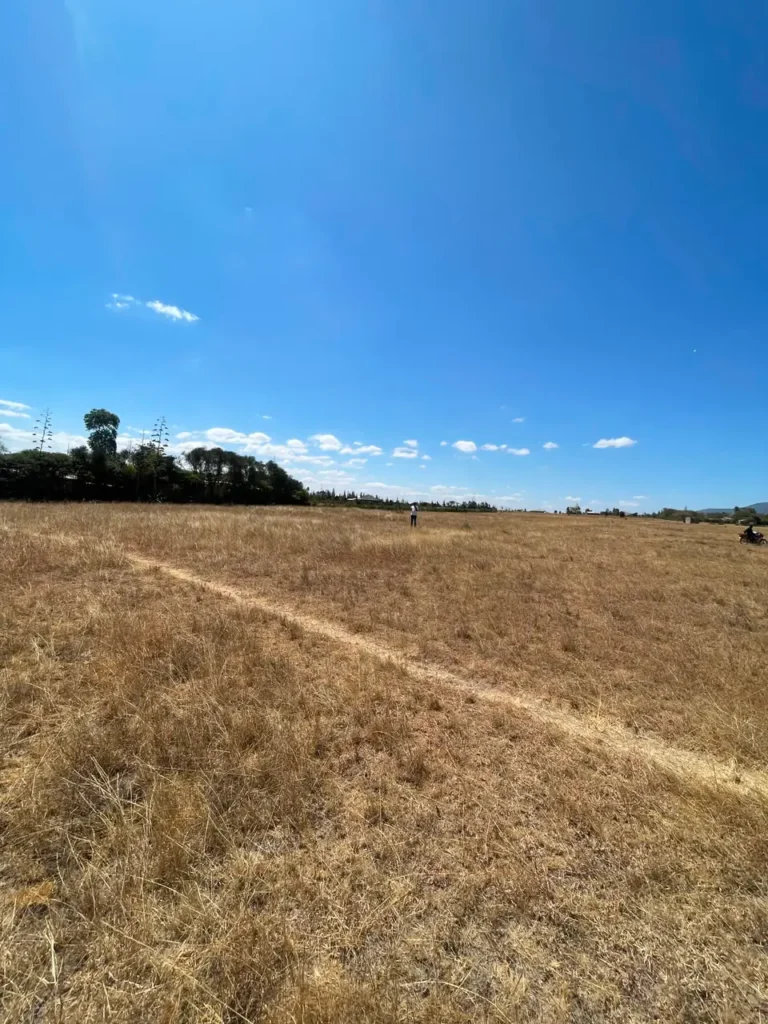 Malaa Land For Sale_ 50 × 100 Plot Off Kangundo Road _ Prime Investment Opportunity (8)