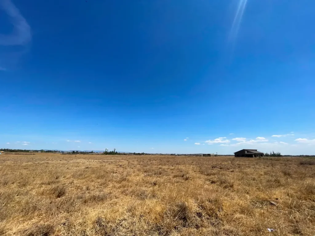 Malaa Land For Sale_ 50 × 100 Plot Off Kangundo Road _ Prime Investment Opportunity (9)