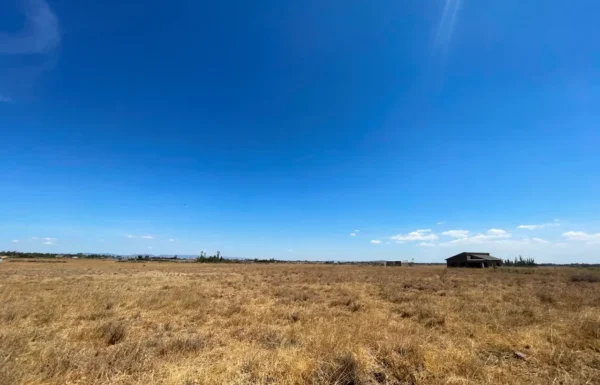 Malaa Land For Sale_ 50 × 100 Plot Off Kangundo Road _ Prime Investment Opportunity (9)